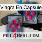 Viagra Capsule 15
